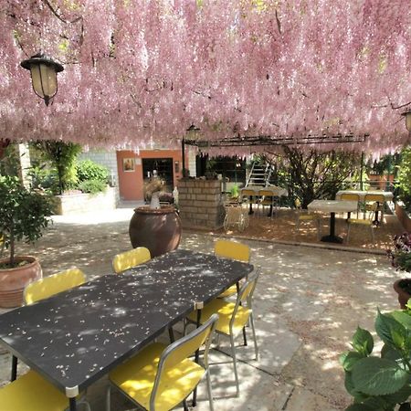 Apartment Orietta Savudrija Dış mekan fotoğraf