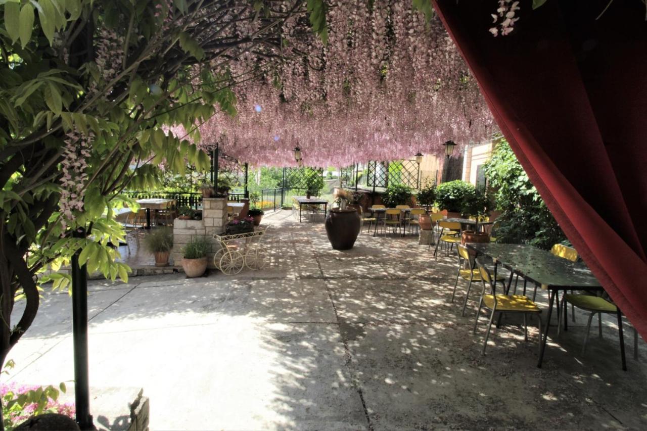 Apartment Orietta Savudrija Dış mekan fotoğraf